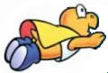 Super-Koopa